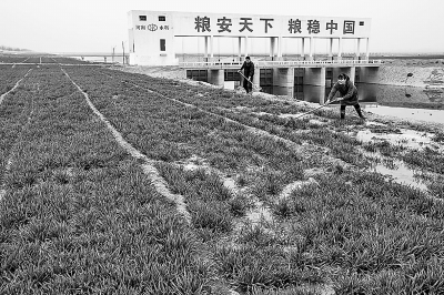 沐鸣2娱乐官方网站图片