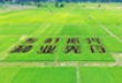 沐鸣2娱乐 b5bbc