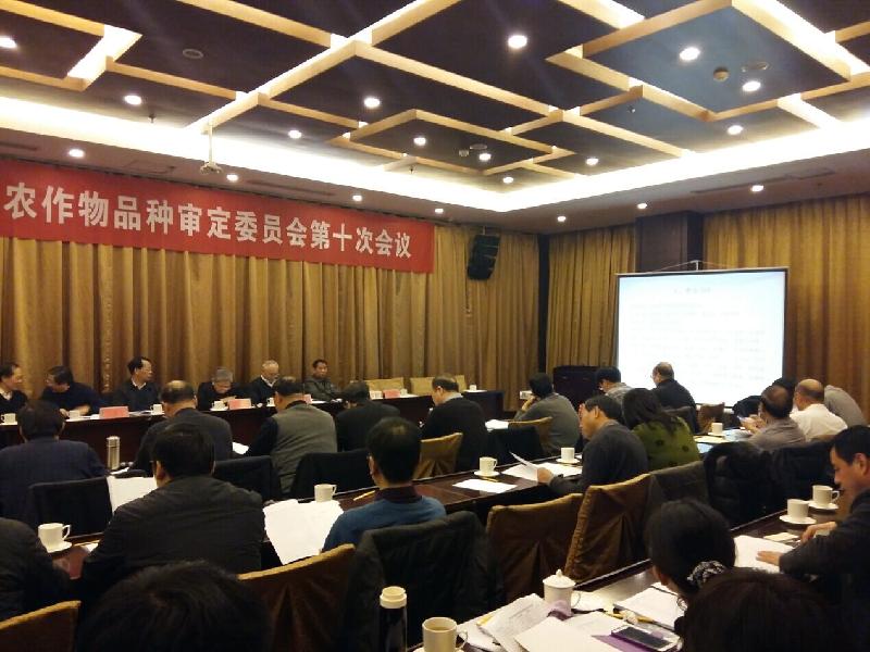 沐鸣2娱乐官方网站图片