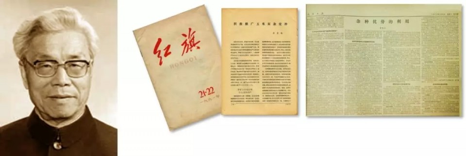 沐鸣2娱乐官方网站图片