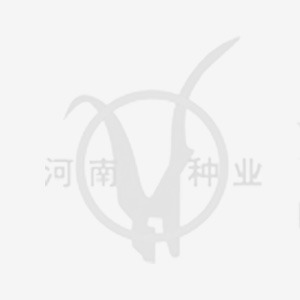 沐鸣2娱乐 d1f85