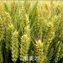 沐鸣2娱乐官方网站图片