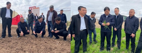 沐鸣2娱乐官方网站图片