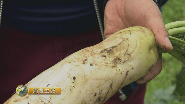 沐鸣2娱乐官方网站图片