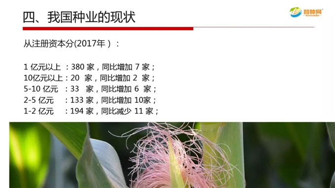 沐鸣2娱乐官方网站图片
