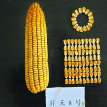 沐鸣2娱乐官方网站图片