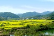 沐鸣2娱乐 43602