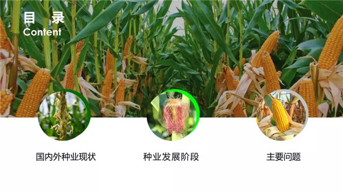 沐鸣2娱乐官方网站图片