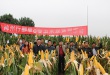 沐鸣2娱乐 f3a36