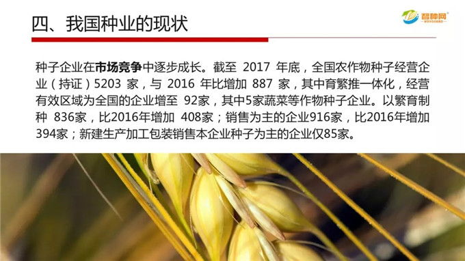 沐鸣2娱乐官方网站图片